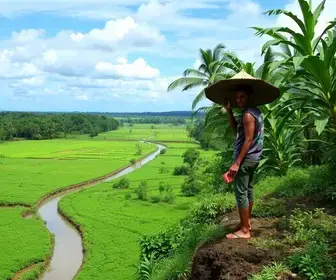 Agro Amazônia: Vagas Abertas e Oportunidades de Carreira