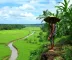 Agro Amazônia: Vagas Abertas e Oportunidades de Carreira